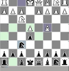 Chess Mates: Calling All Chess Lovers