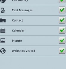 Mobile Spy: When You Just Have to Take a Look