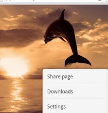 Dolphin Browser: the Best Keeps Getting Better