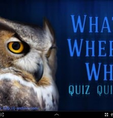 Top Trivia with What? Where? When? Quiz