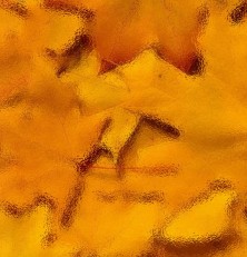 Misted Screen Live Wallpaper