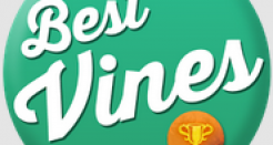 Vine Videos: Bringing the Creme of the Crop to You Daily