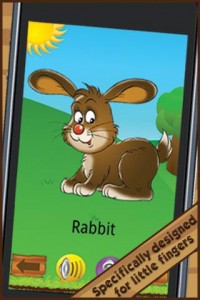 Animal Book