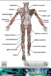 Human Anatomy Android App Review