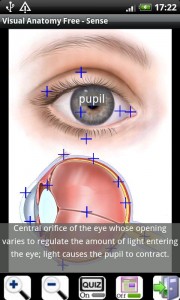 Visual Anatomy Free Android Apps Review