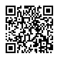 Paintrala Android App QR Code