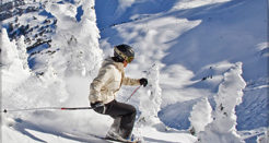 Whistler Traveler is the Perfect Companion for a Great Vacation