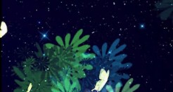 aButterfly Fantasia: Watch Them Flitter