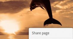 Dolphin Browser: the Best Keeps Getting Better