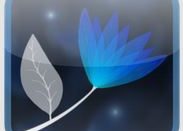 Enlighten Your Android Device’s Home Screen with Night Flowers Live Wallpaper