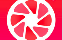 POMELO – Absolute Filters Features Real Time Photo Filters & Editing Tools